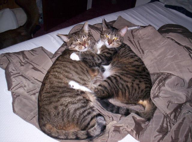 Name:  maggie and alicia.jpg
Views: 143
Size:  53.4 KB