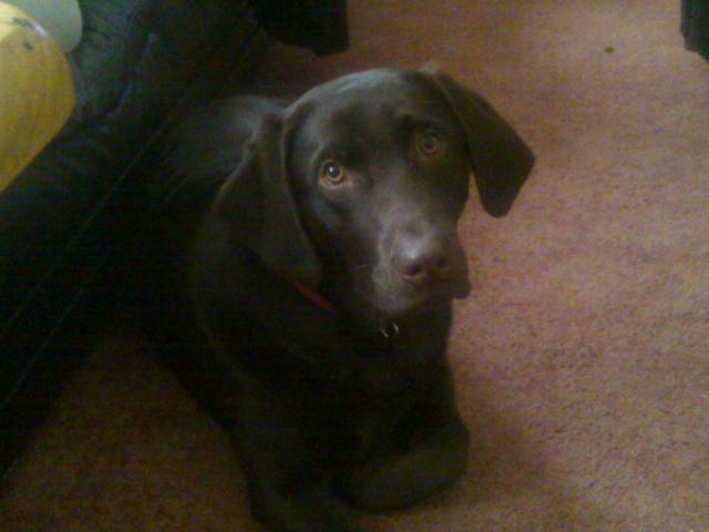 Name:  New Pics 015.jpg
Views: 113
Size:  28.7 KB