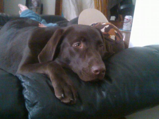 Name:  New Pics 017.jpg
Views: 115
Size:  29.8 KB