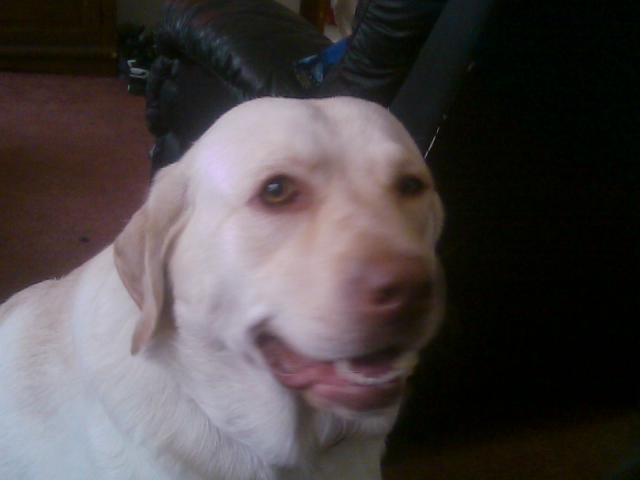 Name:  New Pics 016.jpg
Views: 122
Size:  19.5 KB