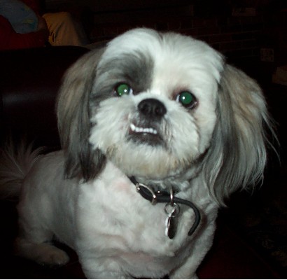 Name:  Kauai06 016.jpg
Views: 81
Size:  34.2 KB