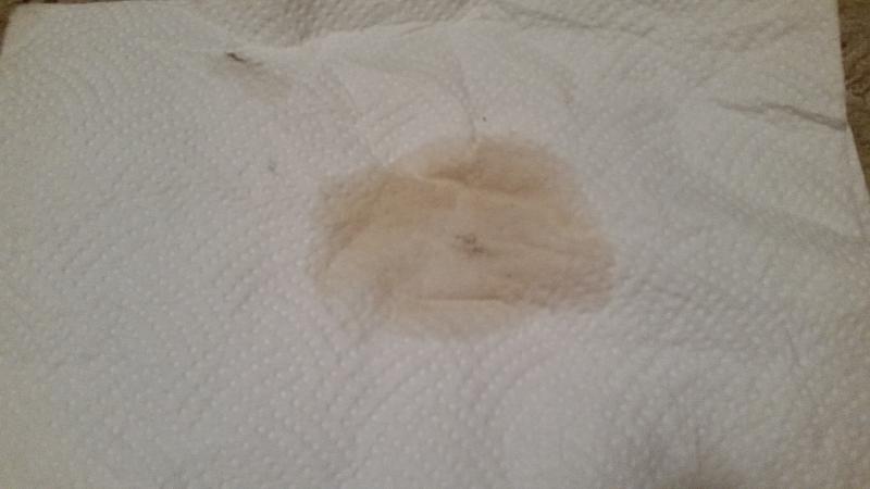Dripping issue-20160813_171925.jpg