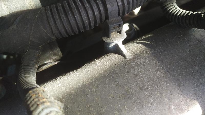 oil leak???-imag1231.jpg