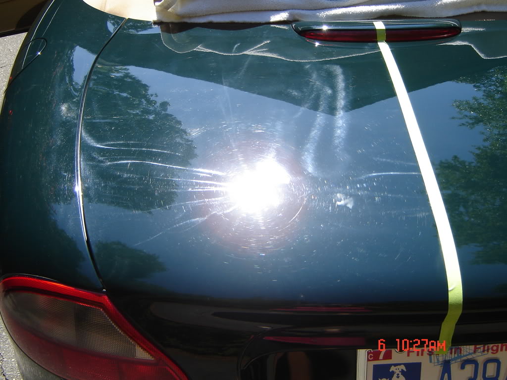 Name: Dogs246.jpg
Views: 181
Size: 114.7 KB