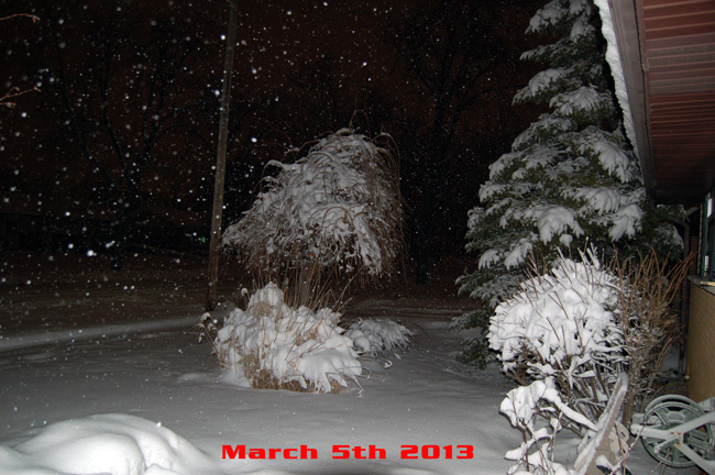 Name:  March-5-2013-Snow-2_zpsc1ef85af.jpg
Views: 138
Size:  133.8 KB