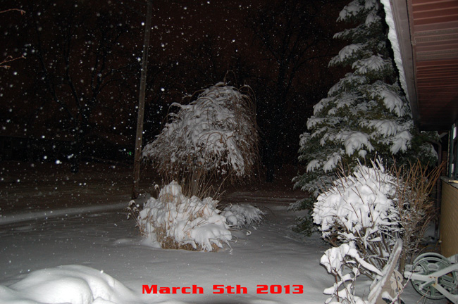 Name: March-5-2013-Snow-2_zpsc1ef85af.jpg
Views: 153
Size: 133.8 KB