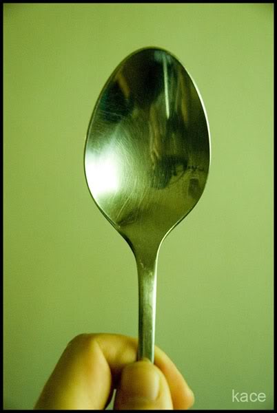 Name:  NoSpoon.jpg
Views: 44
Size:  24.3 KB