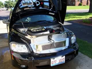 Name:  000_4386.jpg
Views: 26
Size:  26.0 KB