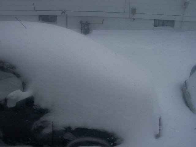 Name:  snow2.jpg
Views: 26
Size:  15.3 KB