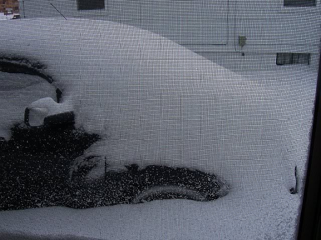 Name:  snow1.jpg
Views: 32
Size:  122.5 KB