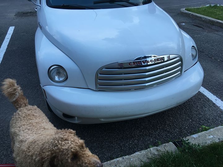 Name:  19402082_10154563525160913_624761419501105415_o_zps5iffzgd6.jpg
Views: 772
Size:  68.7 KB