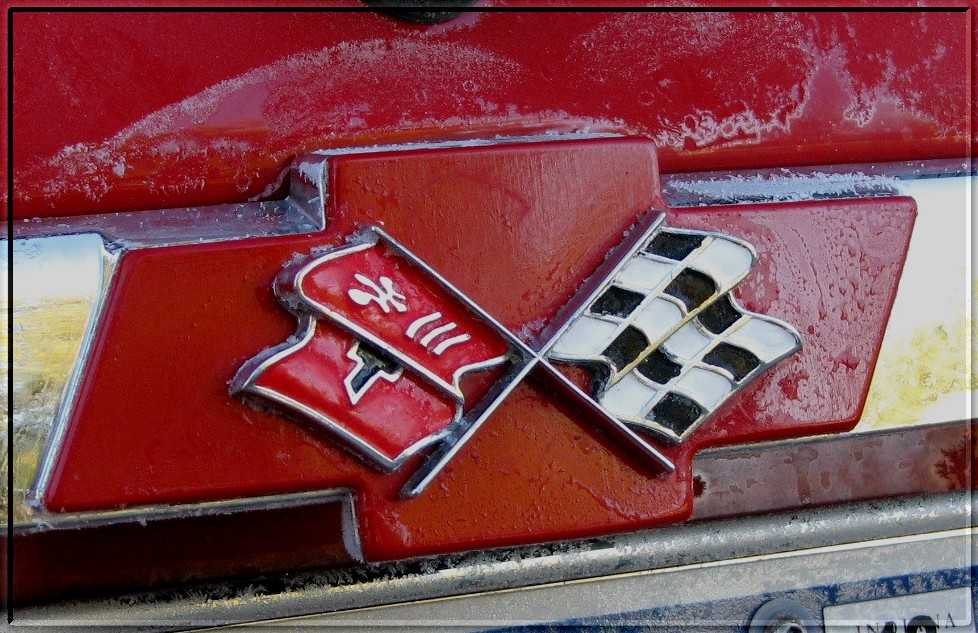 Name:  HHRrearbowtie.jpg
Views: 219
Size:  232.8 KB