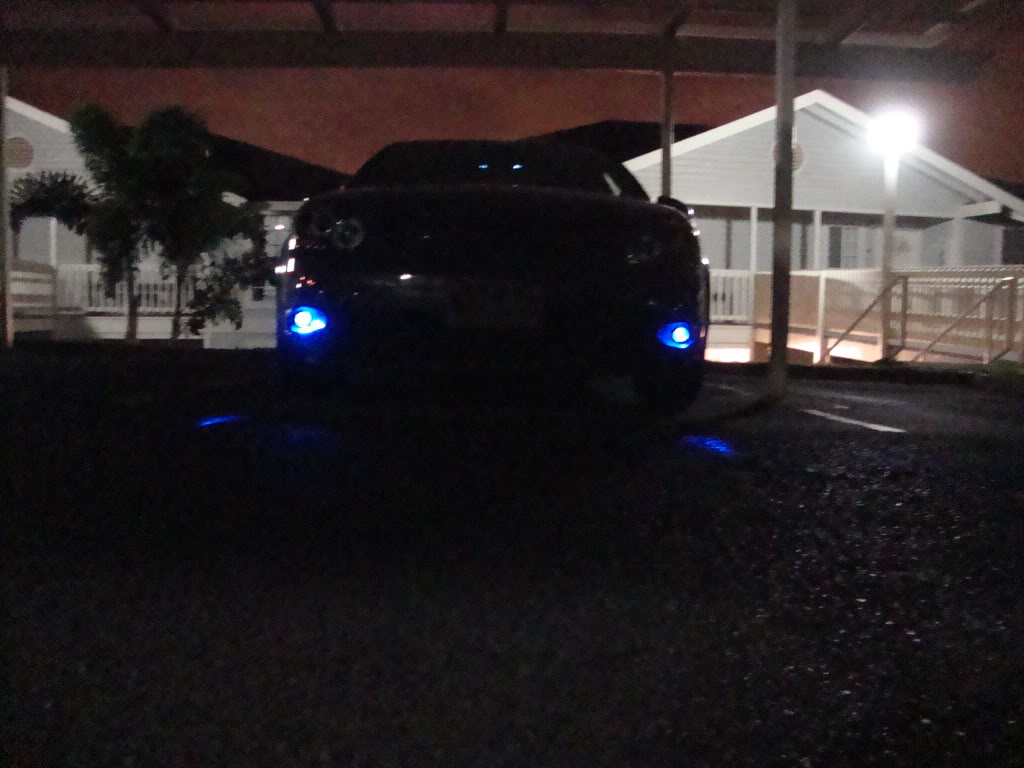 Name:  DSC01383.jpg
Views: 221
Size:  100.5 KB