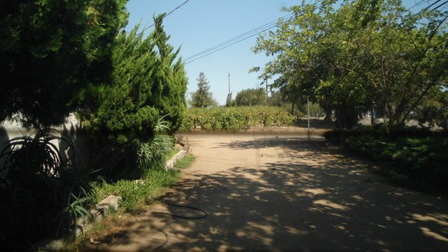Name: xRmurOwl.jpg
Views: 213
Size: 56.1 KB
