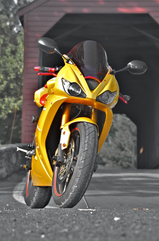 Name:  riding437.jpg
Views: 284
Size:  71.9 KB