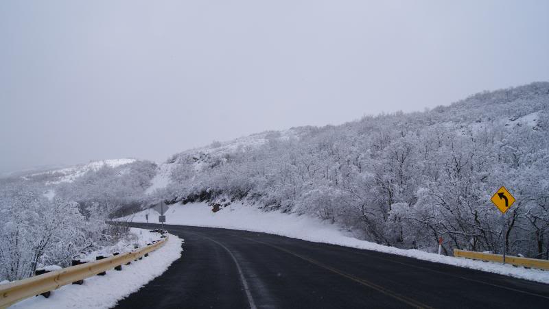 Name: SaltLakeCity055.jpg
Views: 74
Size: 40.3 KB