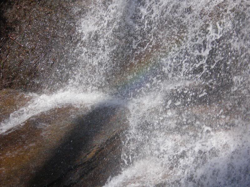 Name: NYvacation181.jpg
Views: 35
Size: 119.5 KB