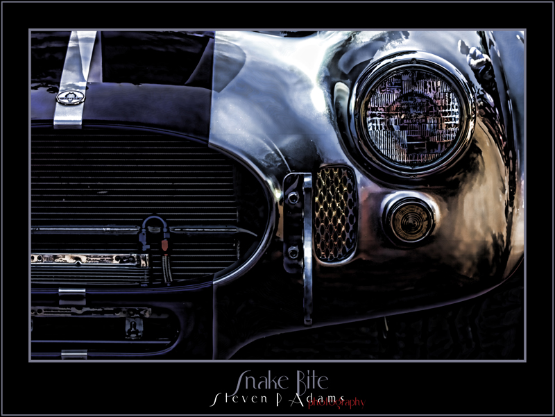 Name:  T1i_1732SnakeBitePresentationcopy.jpg
Views: 32
Size:  317.7 KB