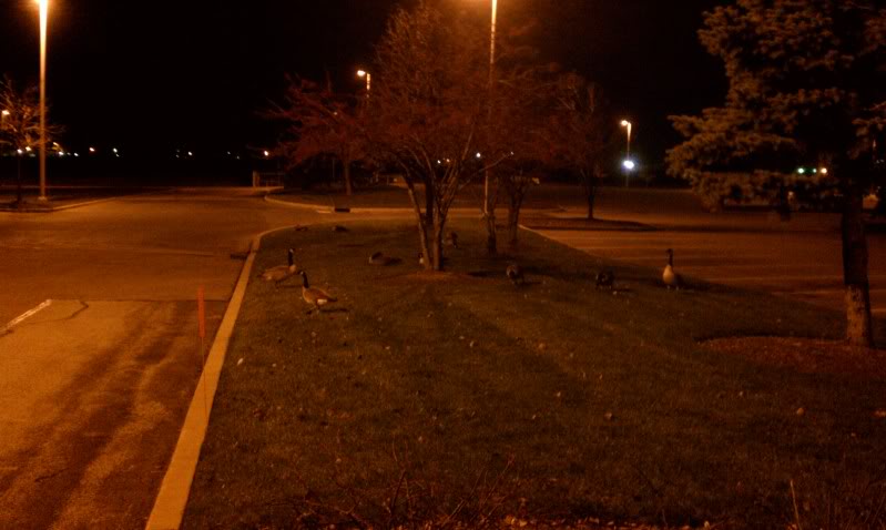 Name:  IMAG0058.jpg
Views: 50
Size:  49.4 KB