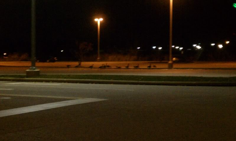 Name:  IMAG0056.jpg
Views: 62
Size:  31.7 KB