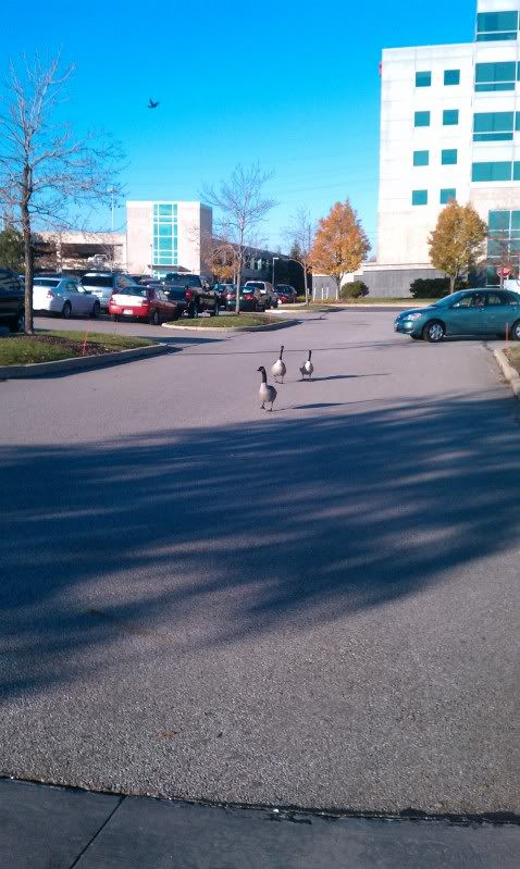 Name:  IMAG00032.jpg
Views: 83
Size:  76.2 KB