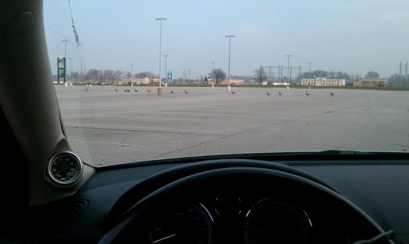 Name:  IMAG0032.jpg
Views: 50
Size:  32.4 KB