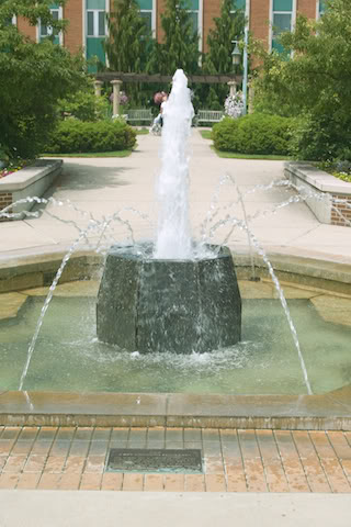 Name: HHRmiejergardens3.jpg
Views: 28
Size: 43.2 KB