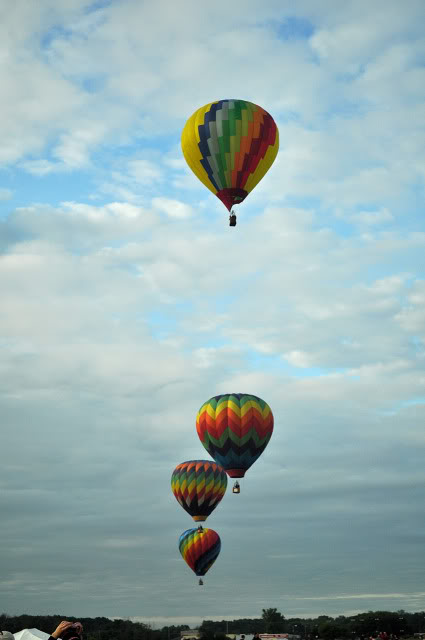 Name:  DSC_0069.jpg
Views: 31
Size:  58.9 KB