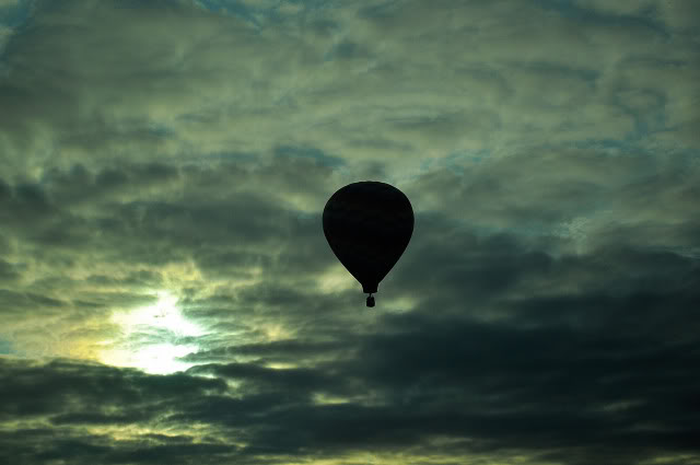 Name:  DSC_0074.jpg
Views: 31
Size:  56.9 KB