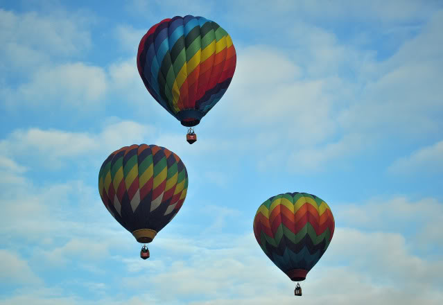 Name:  DSC_0056.jpg
Views: 30
Size:  61.5 KB