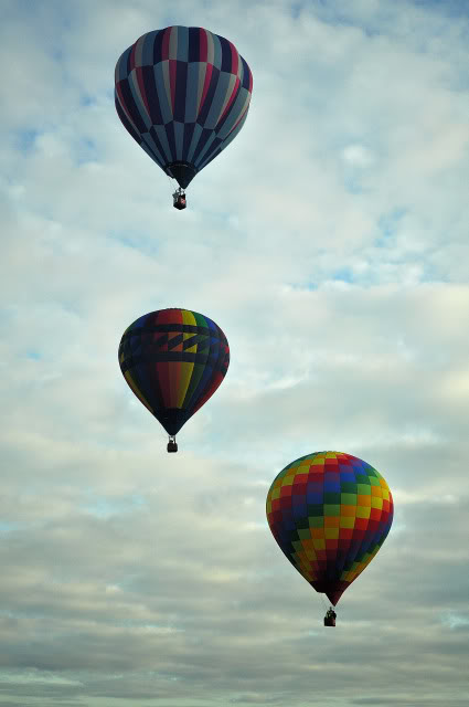 Name:  DSC_0054.jpg
Views: 27
Size:  59.5 KB