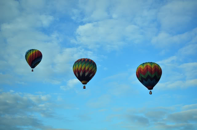 Name:  DSC_0063.jpg
Views: 29
Size:  55.7 KB