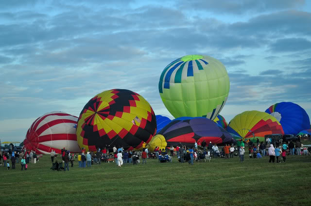 Name:  DSC_0009.jpg
Views: 25
Size:  91.5 KB