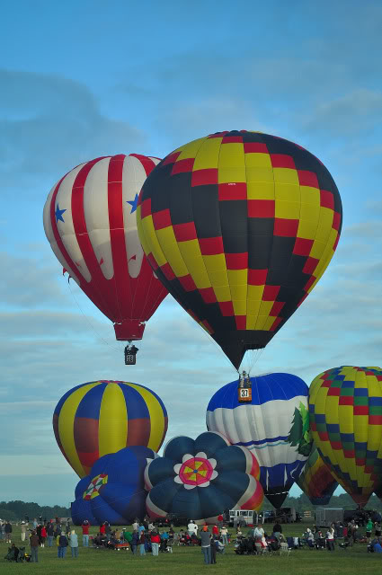 Name:  DSC_0027.jpg
Views: 25
Size:  88.7 KB