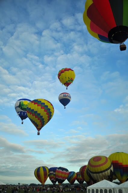 Name:  DSC_0041-1.jpg
Views: 23
Size:  76.1 KB