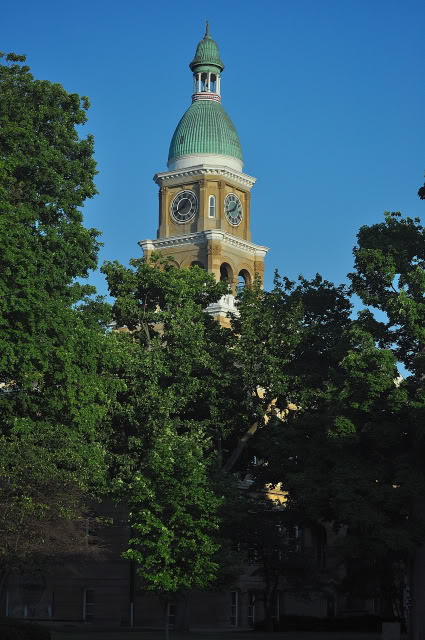 Name:  DSC_0113-1.jpg
Views: 336
Size:  113.2 KB