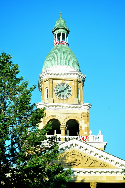 Name:  DSC_0117.jpg
Views: 253
Size:  126.1 KB