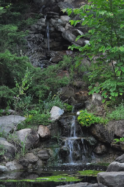 Name:  DSC_0032.jpg
Views: 251
Size:  163.6 KB