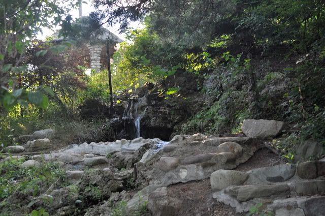 Name:  DSC_0025.jpg
Views: 287
Size:  144.6 KB