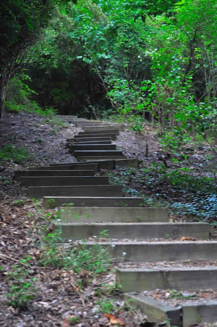 Name:  CSC_0054.jpg
Views: 269
Size:  148.1 KB