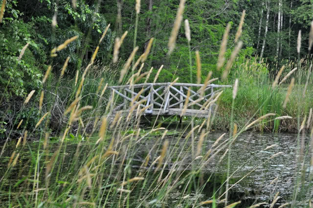 Name:  DSC_0018.jpg
Views: 252
Size:  170.0 KB