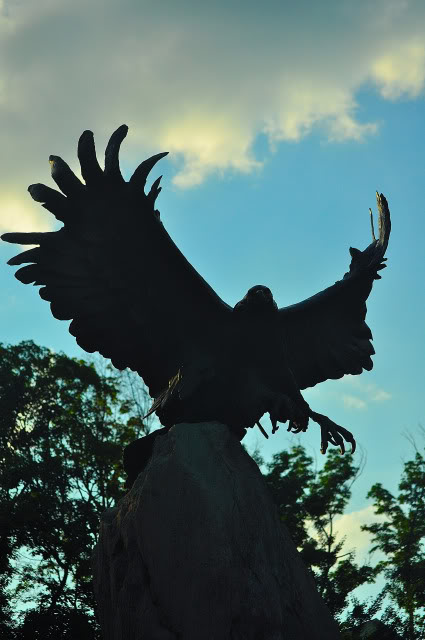 Name:  DSC_0073.jpg
Views: 300
Size:  86.7 KB