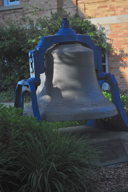 Name:  DSC_0082.jpg
Views: 271
Size:  100.9 KB