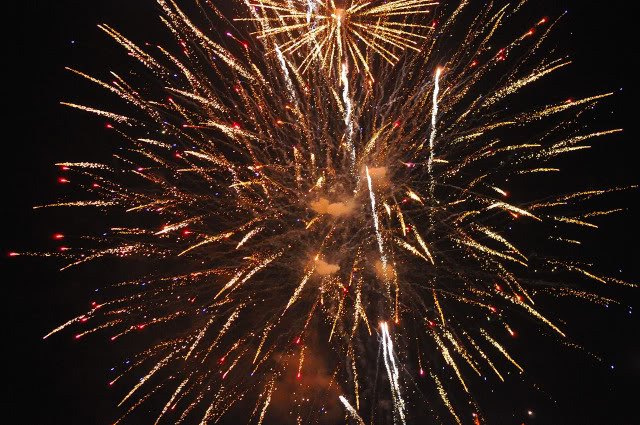 Name:  DSC_0263.jpg
Views: 34
Size:  144.5 KB