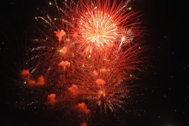 Name:  DSC_0307.jpg
Views: 37
Size:  106.3 KB