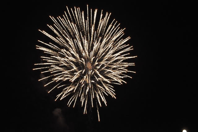 Name:  DSC_0315.jpg
Views: 37
Size:  86.8 KB