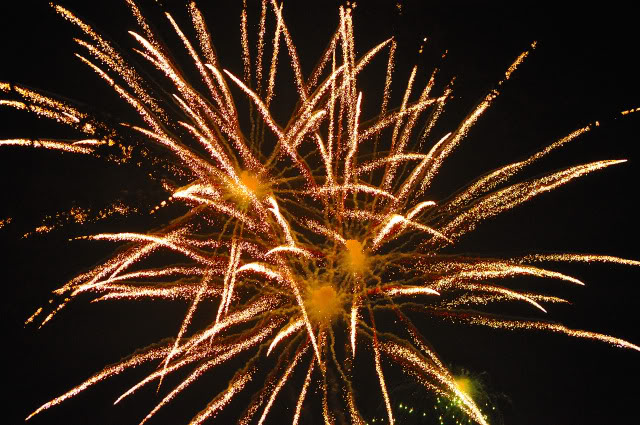 Name:  DSC_0211.jpg
Views: 30
Size:  143.7 KB