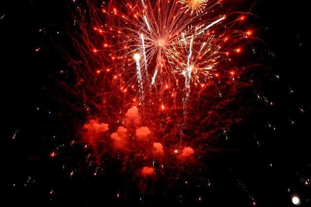 Name:  DSC_0246.jpg
Views: 30
Size:  93.6 KB