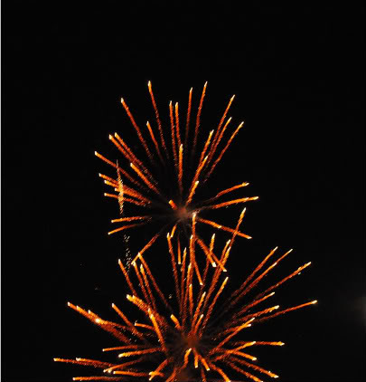 Name:  DSC_0183.jpg
Views: 37
Size:  30.3 KB