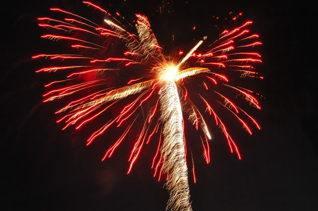 Name:  DSC_0139.jpg
Views: 32
Size:  99.2 KB